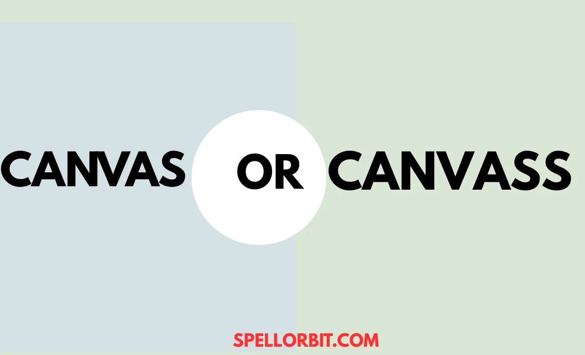 canvas or canvass