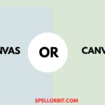 canvas vs canvass