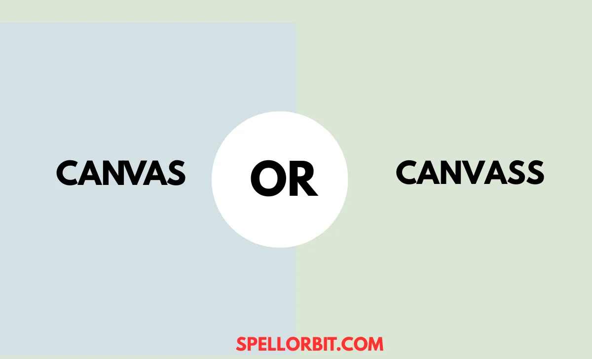canvas vs canvass