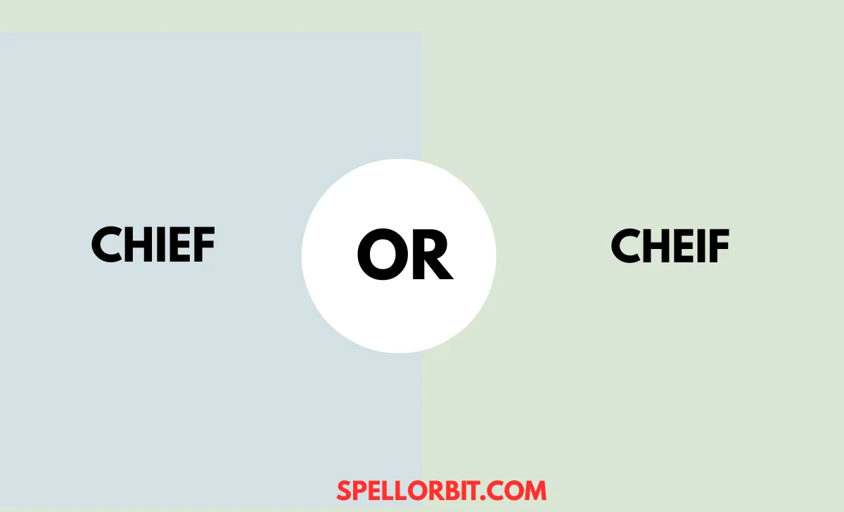 chief vs cheif