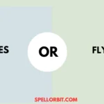 flies vs flys