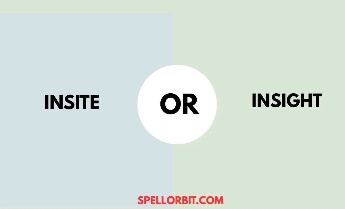 insite or insight