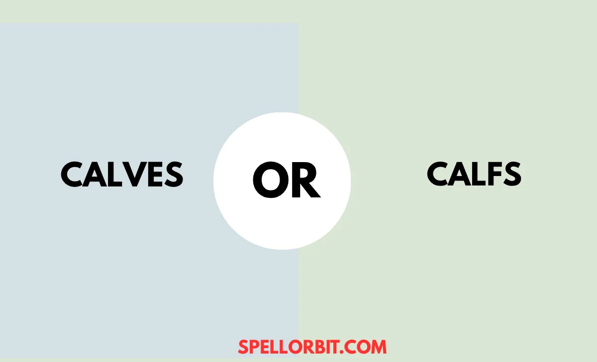 calves vs calfs