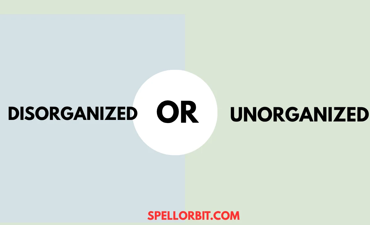 disorganized vs unorganized