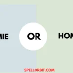 homie vs homey