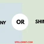 shiny vs shiney