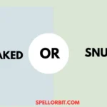 sneaked vs snuck