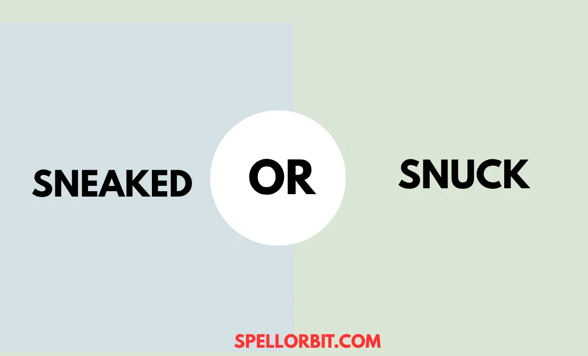 sneaked vs snuck