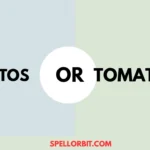 tomatos or tomatoes